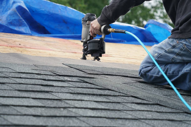Best Solar Panel Roofing Installation  in Warrenton, GA